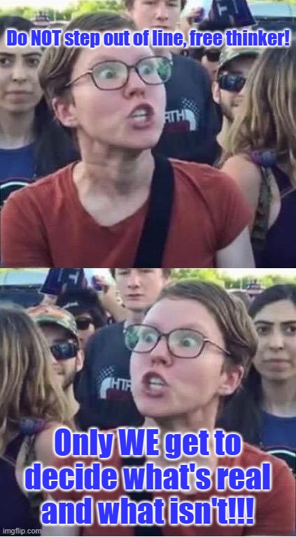 Angry Liberal Hypocrite | Do NOT step out of line, free thinker! Only WE get to decide what's real and what isn't!!! | image tagged in angry liberal hypocrite | made w/ Imgflip meme maker