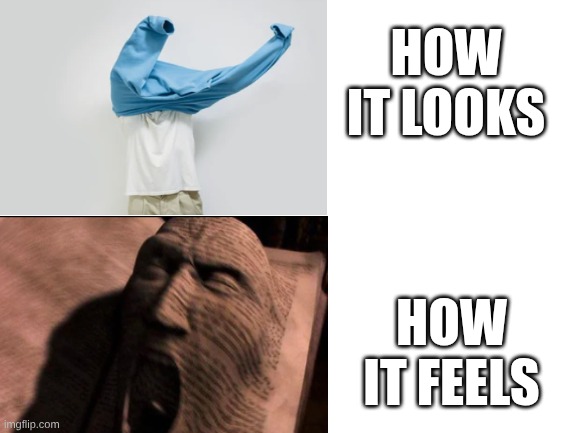 relatable, anyone? | How it looks; How it feels | image tagged in blank white template | made w/ Imgflip meme maker