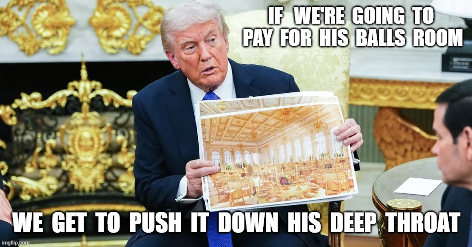 Balls Room | if   we're  going  to  pay  for  his  balls  room; we  get  to  push  it  down  his  deep  throat | image tagged in trump balls room webp | made w/ Imgflip meme maker