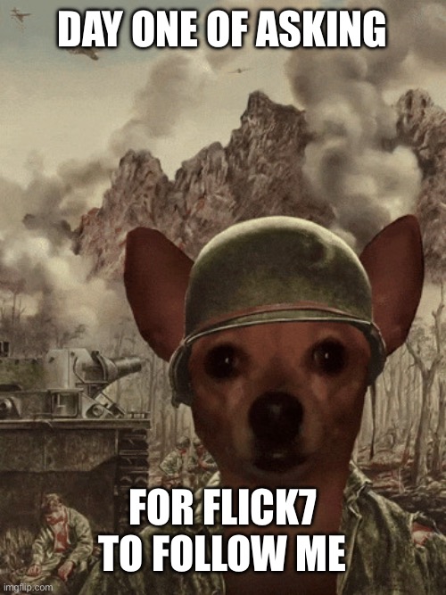 please? | Day one of asking; for flick7 to follow me | image tagged in scared chihuahua,views,flick7,farming | made w/ Imgflip meme maker