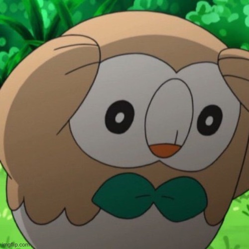 image tagged in rowlet meme template | made w/ Imgflip meme maker