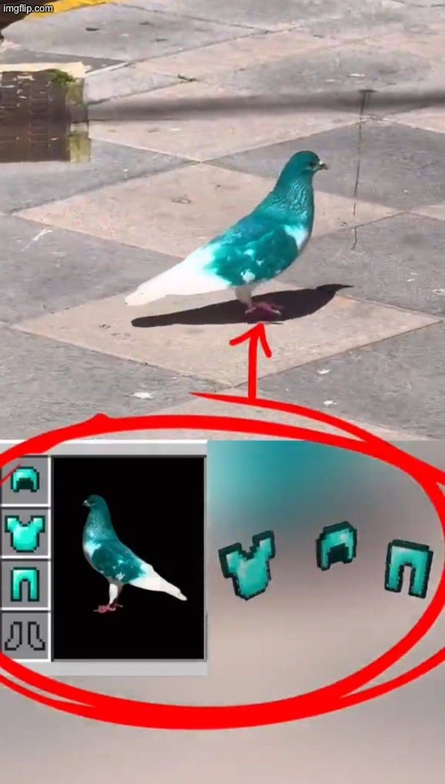 Birh | image tagged in img-20250630-wa0007 jpeg | made w/ Imgflip meme maker