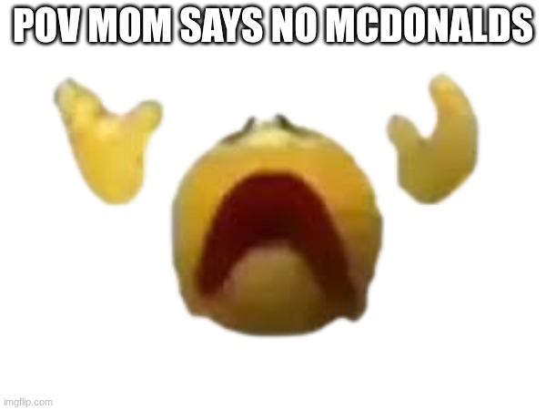 Pov mom says no mcdonalds? | pov mom says no mcdonalds | image tagged in funny | made w/ Imgflip meme maker