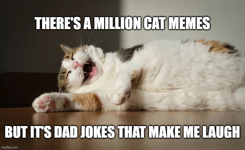 There's a million cat memes but it's dad jokes that make me  laugh. | There's a million cat memes; but it's dad jokes that make me laugh | image tagged in funny,humor,cat,kittens,laugh,jokes | made w/ Imgflip meme maker