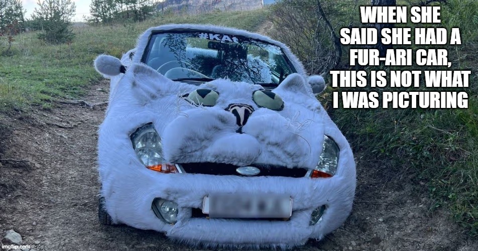 When she said she had a Fur-rari, this is not what I had in mind.     --  cat  -- | When she said she had a fur-ari car, this is not what I was picturing | image tagged in cat,kittens,funny,humor,funny cat memes,play on words | made w/ Imgflip meme maker