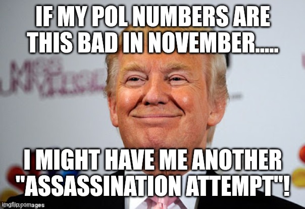 Another attempt | If my pol numbers are this bad in November..... I might have me another "assassination attempt"! | image tagged in donald trump,trump,maga,nevertrump,trump sucks,america first | made w/ Imgflip meme maker