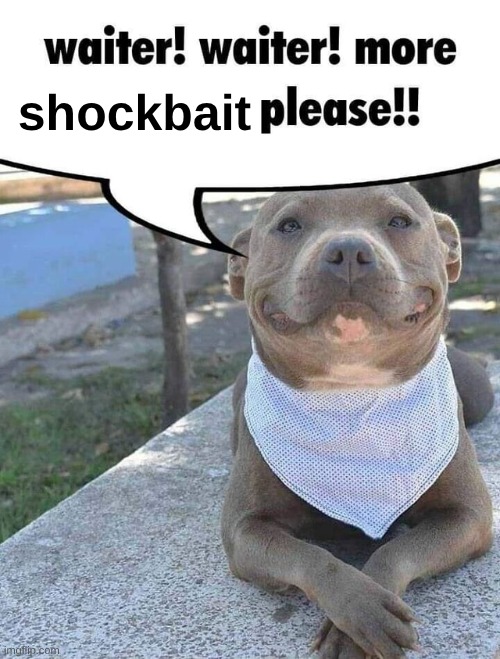 waiter! | shockbait | made w/ Imgflip meme maker