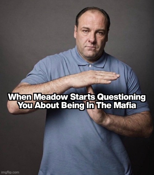 Time Out | image tagged in memes,the sopranos,mafia,shaq,time out | made w/ Imgflip meme maker