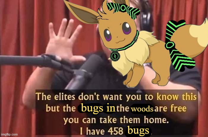 Yumi loves her bugs :3 | woods; bugs in; bugs | image tagged in elites don't want you to know this,yumi,eevee | made w/ Imgflip meme maker