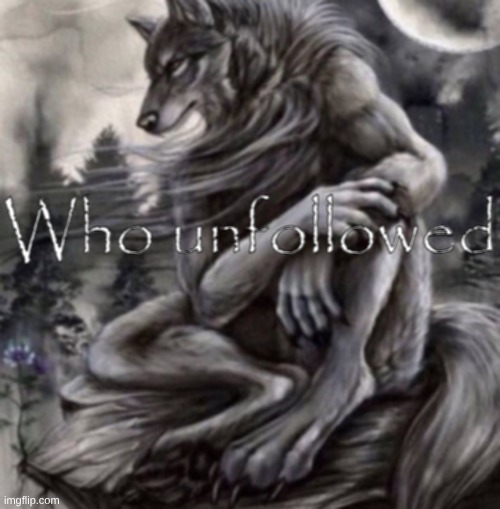 Who unfollowed | image tagged in who unfollowed | made w/ Imgflip meme maker