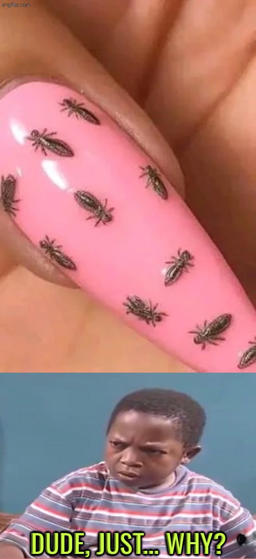Dude Just Why | Dude, just... Why? | image tagged in cursed images,dude wtf,just why,bugs,reactions,can't unsee | made w/ Imgflip meme maker