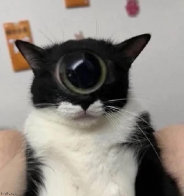 the ominous and menacing cyclops | image tagged in the ominous and menacing cyclops | made w/ Imgflip meme maker