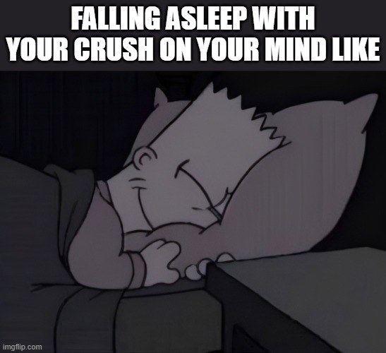 crush | falling asleep with your crush on your mind like | image tagged in memes | made w/ Imgflip meme maker