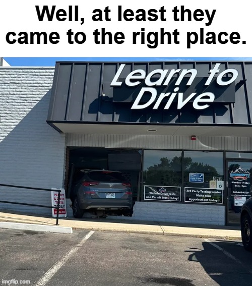 i think they wanted to learn how to drive. | Well, at least they came to the right place. | image tagged in memes,fun,ironic,23,i think dinosaurs are cool | made w/ Imgflip meme maker