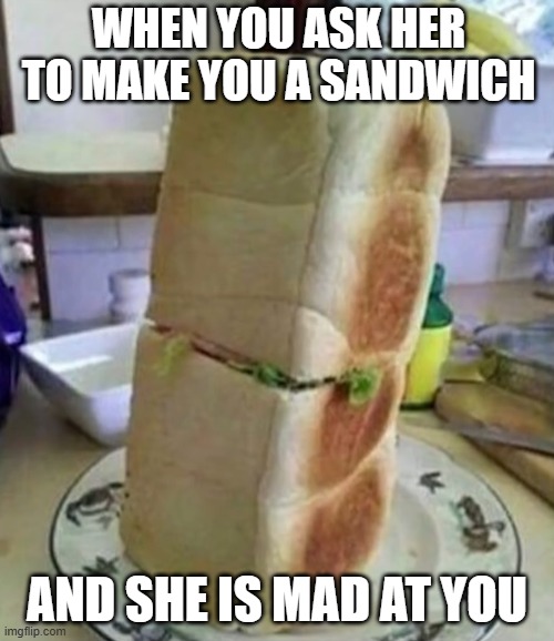 that moment! | when you ask her to make you a sandwich; and she is mad at you | image tagged in memes | made w/ Imgflip meme maker
