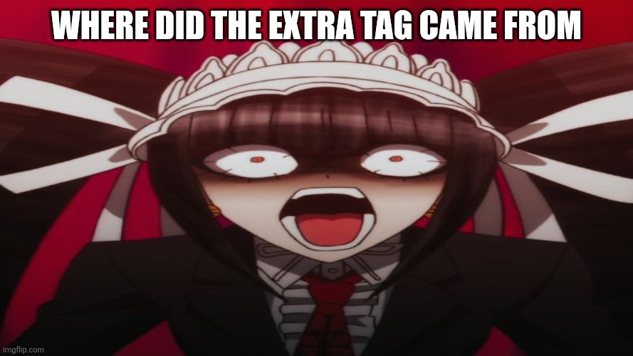 Celestian Ludenberger | Where did the extra tag came from | image tagged in celestian ludenberger | made w/ Imgflip meme maker
