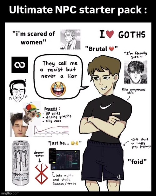 tiktok | image tagged in npc | made w/ Imgflip meme maker