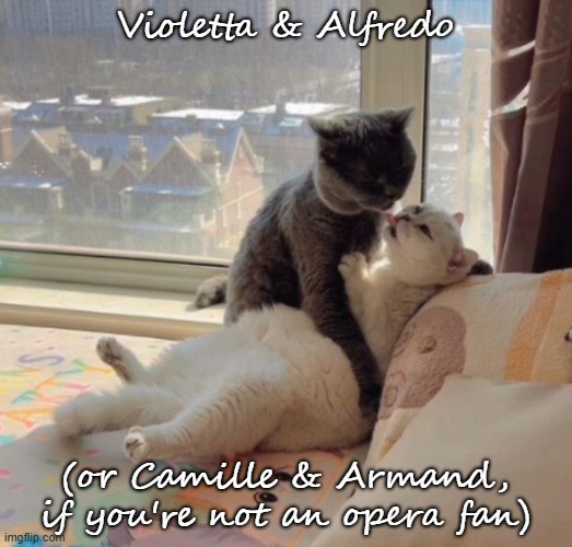 opera cats | Violetta & Alfredo; (or Camille & Armand, if you're not an opera fan) | image tagged in cats violetta and alfredo png | made w/ Imgflip meme maker
