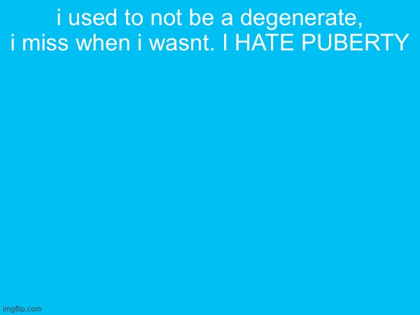 i used to not be a degenerate, i miss when i wasnt. I HATE PUBERTY | made w/ Imgflip meme maker