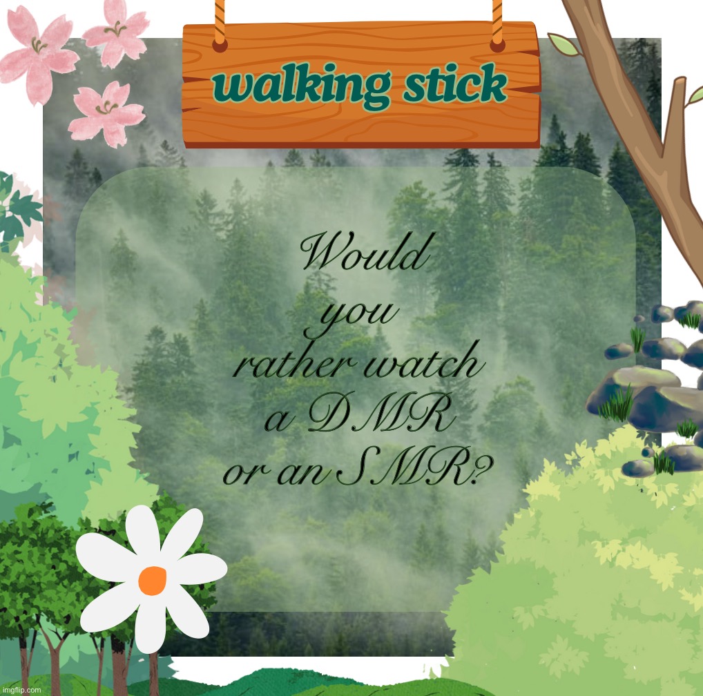 which one is better | Would you rather watch a DMR or an SMR? | image tagged in the walking stick announcement temp made by shira,msmg,track | made w/ Imgflip meme maker