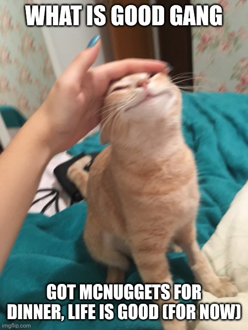 Oh boy, nothing can ruin my evening now! I says with joys | What is good gang; Got mcnuggets for dinner, life is good (for now) | image tagged in cat pat | made w/ Imgflip meme maker
