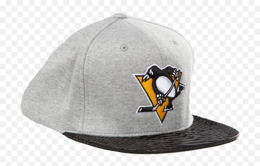 Pittsburgh Penguins Believe Blank Meme Template