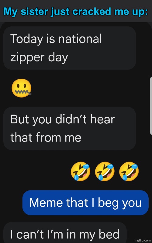 April 29th is National Zipper Day | My sister just cracked me up: | image tagged in funny memes,sister,my sister is really freaking funny | made w/ Imgflip meme maker