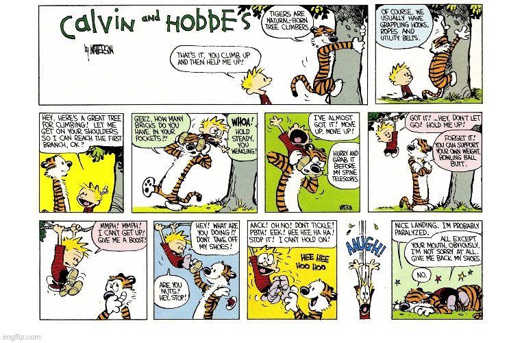 image tagged in calvin and hobbes,comics | made w/ Imgflip meme maker