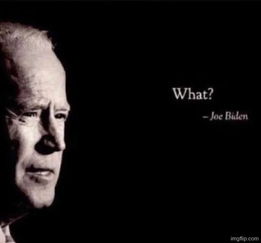 i mean i kinda get why people would be against abortion but the fetus ain't even a fully developed human it's not that serious | image tagged in joe biden what | made w/ Imgflip meme maker