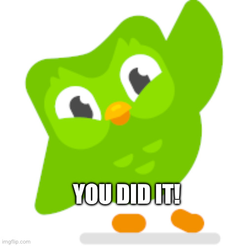 You did it! | image tagged in duolingo memes | made w/ Imgflip meme maker