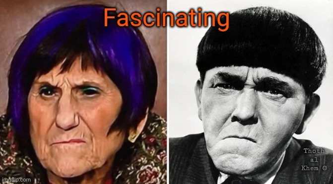 Congress Thing Rosa DeLauro | Fascinating; Thoth al Khem © | image tagged in blue haired rosa de lauro,three stooges,mo and rosa,looks like twins,too funny | made w/ Imgflip meme maker