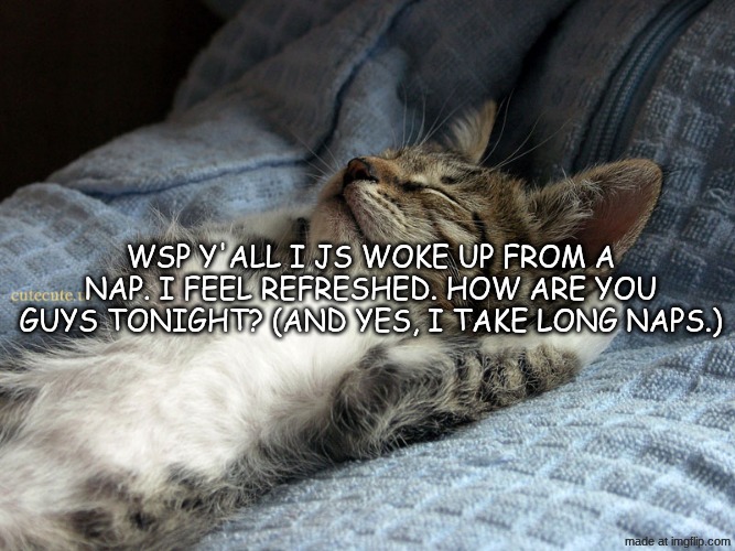 sleeping cat | wsp y'all I js woke up from a nap. I feel refreshed. how are you guys tonight? (and yes, I take long naps.) | image tagged in sleeping cat | made w/ Imgflip meme maker