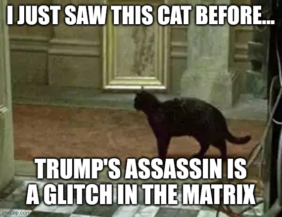 Haven't we seen this assassination attempt before... ??? | I just saw this cat before... Trump's assassin is a glitch in the Matrix | image tagged in matrix cat,deja vu,memes,donald trump,glitch in the matrix,shots fired | made w/ Imgflip meme maker