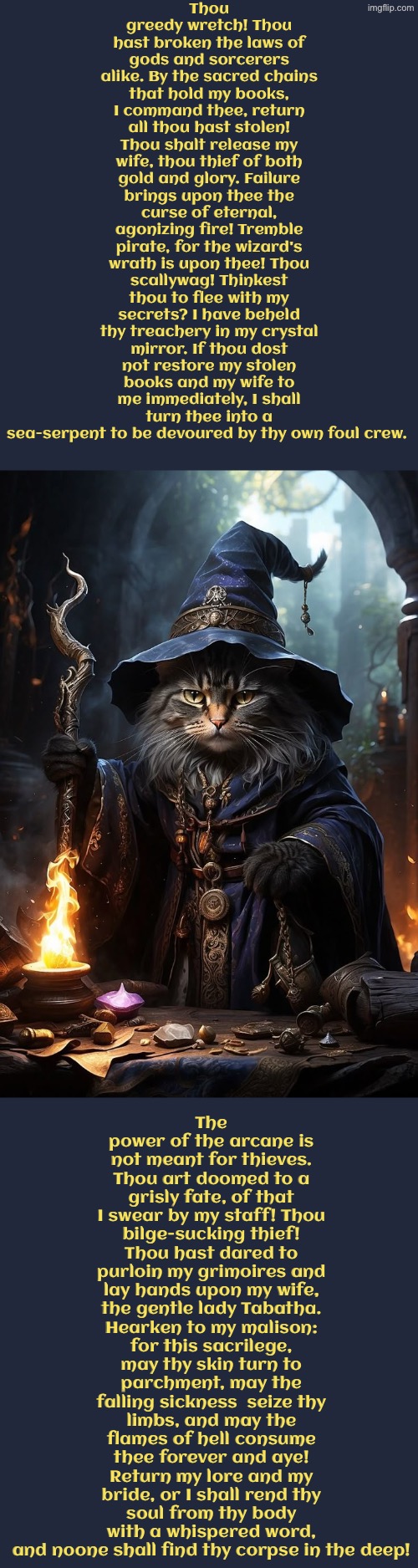 The Power Of The Arcane Is Not Meant For Thieves | Thou greedy wretch! Thou hast broken the laws of gods and sorcerers alike. By the sacred chains that hold my books, I command thee, return all thou hast stolen! Thou shalt release my wife, thou thief of both gold and glory. Failure brings upon thee the curse of eternal, agonizing fire! Tremble pirate, for the wizard's wrath is upon thee! Thou scallywag! Thinkest thou to flee with my secrets? I have beheld thy treachery in my crystal mirror. If thou dost not restore my stolen books and my wife to me immediately, I shall turn thee into a sea-serpent to be devoured by thy own foul crew. The power of the arcane is not meant for thieves. Thou art doomed to a grisly fate, of that I swear by my staff! Thou bilge-sucking thief! Thou hast dared to purloin my grimoires and lay hands upon my wife, the gentle lady Tabatha. Hearken to my malison: for this sacrilege, may thy skin turn to parchment, may the falling sickness  seize thy limbs, and may the flames of hell consume thee forever and aye! Return my lore and my bride, or I shall rend thy soul from thy body with a whispered word, and noone shall find thy corpse in the deep! | image tagged in cats,medieval memes,cursed,thief,wizards,pirates | made w/ Imgflip meme maker