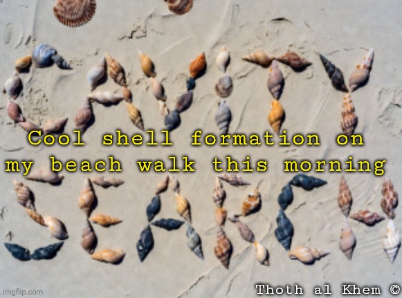 James Comey Arrested! | Cool shell formation on my beach walk this morning; Thoth al Khem © | image tagged in james comey prison,russian gate russia gate russia gate,desperate democrats,james call me as a criminal,james comey arrest | made w/ Imgflip meme maker