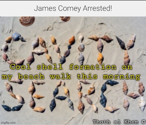 James Comey arrested | image tagged in james comey traitor,james comey arrest,james comey for prison,russian gate russian gate russia gate,james comey donald trump | made w/ Imgflip meme maker