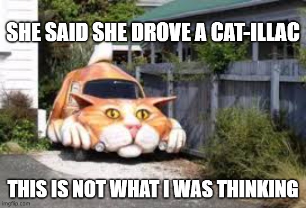 She said she drove a Cat-illac. This is not what I was picturing. | She said she drove a cat-illac; This is not what I was thinking | image tagged in cat,kittens,funny,humor,play on words,cars | made w/ Imgflip meme maker