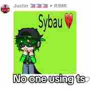 no one using ts | image tagged in no one using ts | made w/ Imgflip meme maker