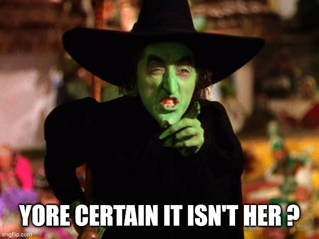 Yore certain it isn't her ? | image tagged in wicked witch | made w/ Imgflip meme maker