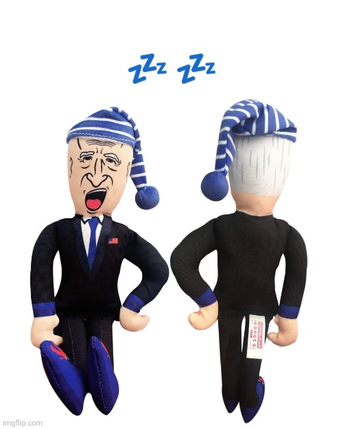 SLEEPY JOE | ? ? | image tagged in sleepy joe | made w/ Imgflip meme maker