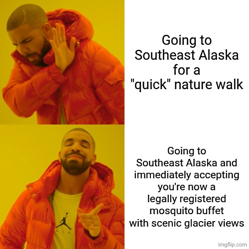 Drake hotline bling | Going to Southeast Alaska for a "quick" nature walk; Going to Southeast Alaska and immediately accepting you're now a legally registered mosquito buffet with scenic glacier views | image tagged in memes,drake hotline bling,alaska | made w/ Imgflip meme maker