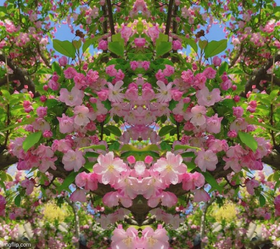 Flower Art | image tagged in images jpeg | made w/ Imgflip meme maker