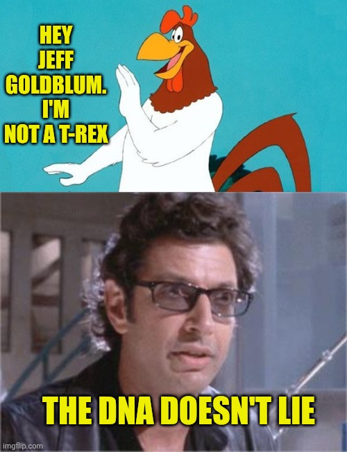 Hey Jeff Goldblum. I'm not a t-rex; The DNA doesn't lie | image tagged in rooster,jeff goldblum | made w/ Imgflip meme maker