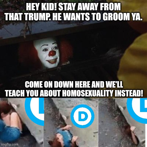 What are we going to do in the sewers leftist-san? | Hey kid! Stay away from that trump. He wants to groom ya. Come on down here and we'll teach you about homosexuality instead! | image tagged in pennywise in sewer,dnc | made w/ Imgflip meme maker