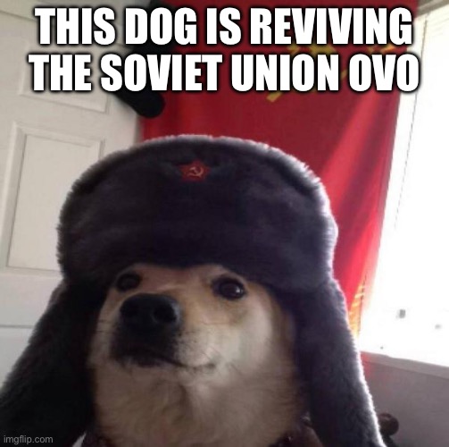 Russian Doge | This dog is reviving the Soviet Union OvO | image tagged in russian doge | made w/ Imgflip meme maker