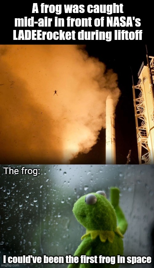 Giant leap for frogkind | A frog was caught mid-air in front of NASA's LADEErocket during liftoff; The frog:; I could've been the first frog in space | image tagged in kermit window,frogs,nasa,rocket launch,space,frog | made w/ Imgflip meme maker