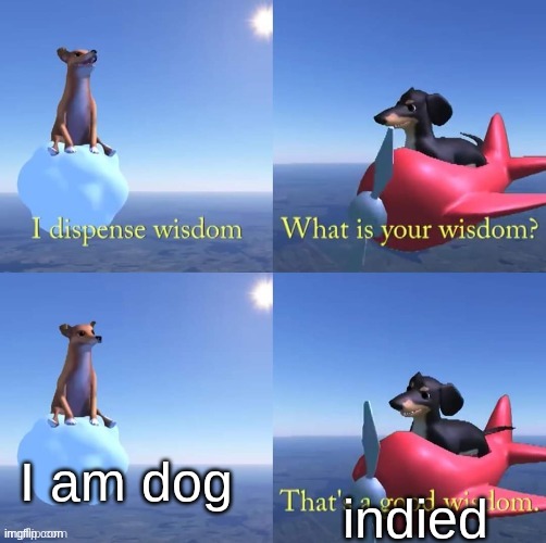 Wisdom dog | I am dog; indied | image tagged in wisdom dog | made w/ Imgflip meme maker