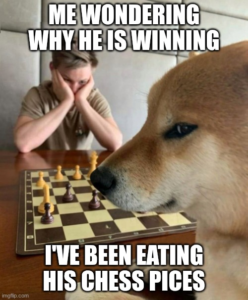 Chess doge | me wondering why he is winning; I've been eating his chess pices | image tagged in chess doge | made w/ Imgflip meme maker