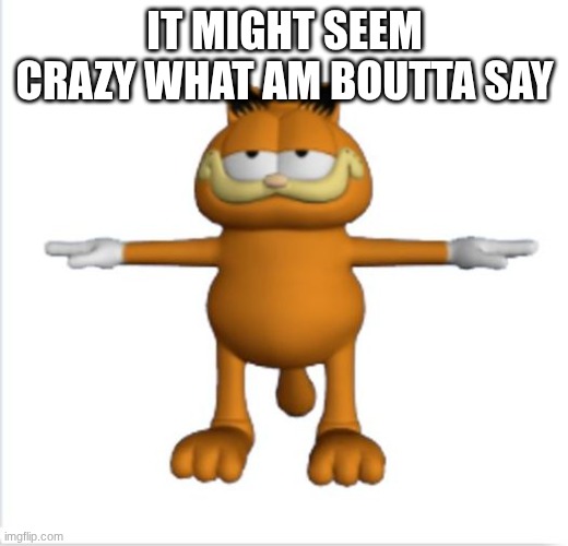 garfield t-pose | it might seem crazy what am boutta say | image tagged in garfield t-pose | made w/ Imgflip meme maker