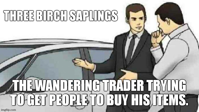Car Salesman Slaps Roof Of Car Meme | Three Birch saplings; The wandering trader trying to get people to buy his items. | image tagged in memes,car salesman slaps roof of car | made w/ Imgflip meme maker